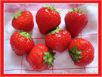 Fraises Parfum�es -- 03/06/11