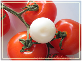 Oeufs durs de Caille