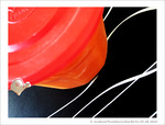 Sauce Tomate Vite fait Bien fait -- 05/06/12